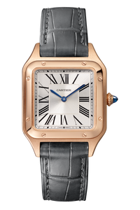 Santos-Dumont, Small Model