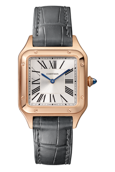 Santos-Dumont, Small Model