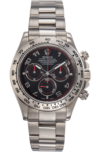 Daytona White Gold Automatic