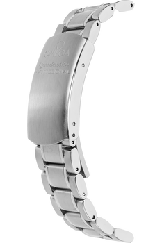 Speedmaster Moonwatch Professional Stainless Steel Manual