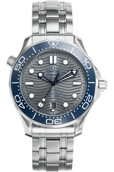 Seamaster Diver 300M Stainless Steel Automatic