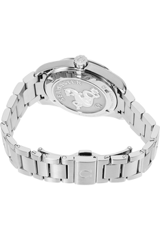 Seamaster Aqua Terra Stainless Steel Quartz