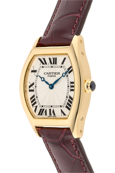 Tortue Yellow Gold Manual