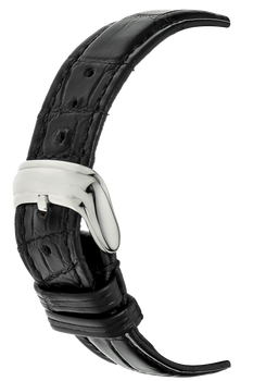 Conquistador Stainless Steel Automatic