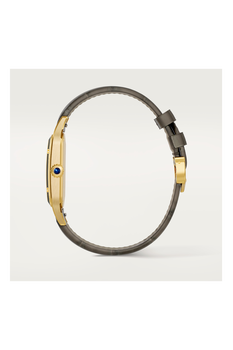 Santos-Dumont, Large Model