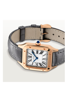 Santos-Dumont, Large Model