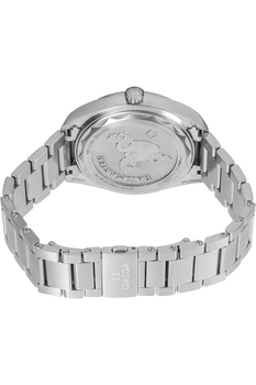 Railmaster Co-Axial Master Chronometer Stainless Steel Automatic