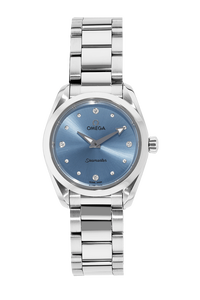 Seamaster Aqua Terra Stainless Steel Quartz