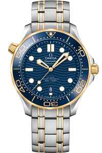 Diver 300M Co-Axial Master Chronometer 42 MM