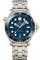 Diver 300M Co-Axial Master Chronometer 42 MM