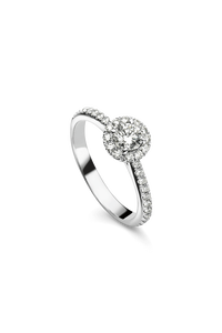 Joy Mounted Solitaire in 18K White Gold