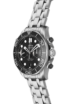 Diver 300M Stainless Steel Automatic