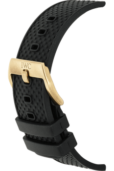 Aquatimer Chronograph Expedition Charles Darwin Bronze Automatic