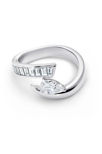 Inner Fire Ring