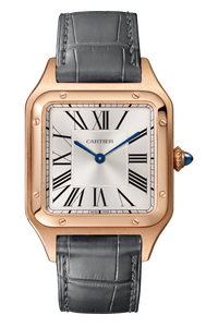 Santos-Dumont, Large Model