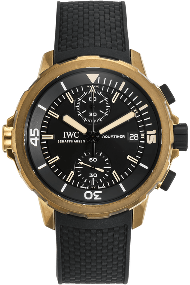 Aquatimer Chronograph Expedition Charles Darwin Bronze Automatic