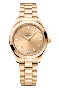 Seamaster Aqua Terra 150M