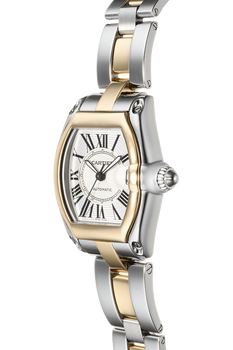 Roadster Yellow Gold and Stainless Steel Automatic