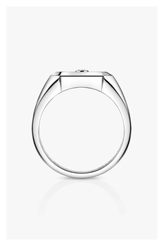 Move Titanium Natural Signet Ring