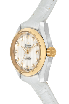 Seamaster Aqua Terra Co-Axial Yellow Gold and Stainless Steel Automatic