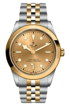 Black Bay 41