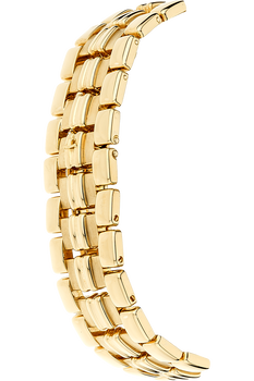 Master Control Geographic Yellow Gold Automatic