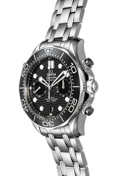 Diver 300M Stainless Steel Automatic