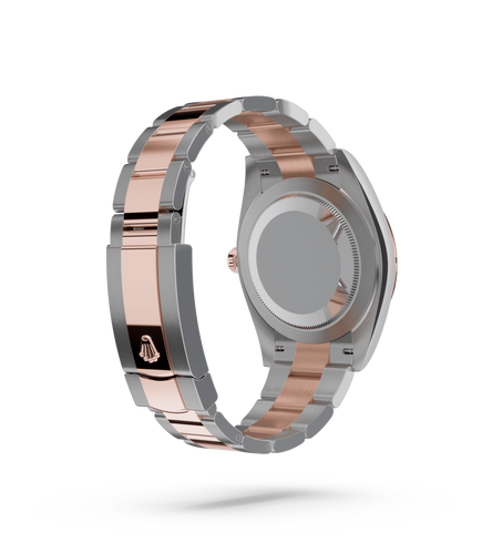 Rolex Datejust 41 in oystersteel and everose gold, M126331-0007  