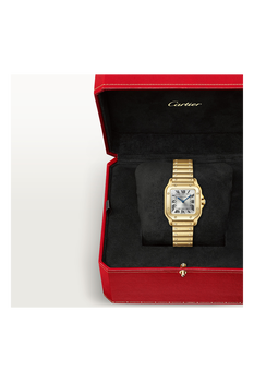 Santos de Cartier, Small Model