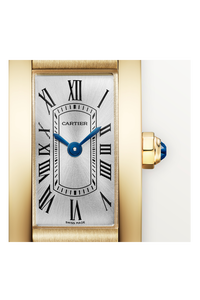 Tank Am&eacute;ricaine, Mini Model