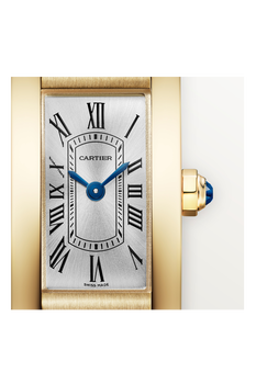 Tank Am&eacute;ricaine, Mini Model