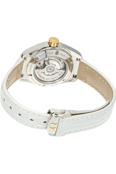 Seamaster Aqua Terra Co-Axial Yellow Gold and Stainless Steel Automatic