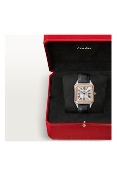 Santos-Dumont, Large Model