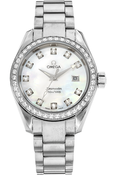 Seamaster Aqua Terra Stainless Steel Quartz