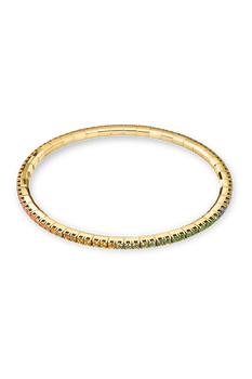 Classics Rainbow Stretchy Bracelet