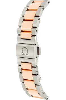 Aqua Terra Master Rose Gold and Stainless Steel Automatic
