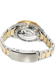 Seamaster Yellow Gold and Stainless Steel Automatic