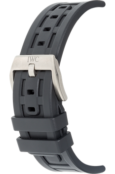 Ingenieur Dual Time Titanium Automatic