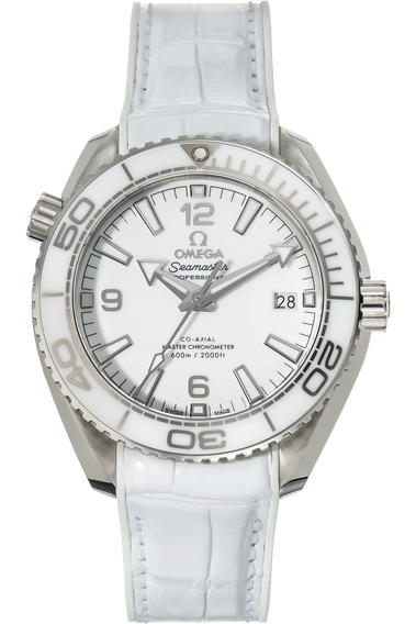 Planet Ocean Co-Axial Stainless Steel Automatic