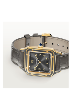 Santos-Dumont, Large Model