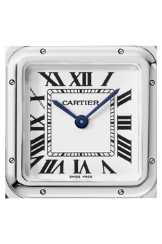 Panth&egrave;re de Cartier, Steel, Medium