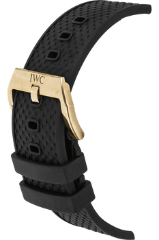 Aquatimer Chronograph Expedition Charles Darwin Bronze Automatic