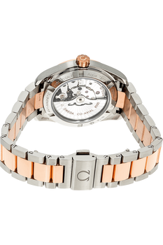 Aqua Terra Master Rose Gold and Stainless Steel Automatic