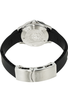 Seamaster GMT Stainless Steel Automatic