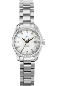 Seamaster Aqua Terra Stainless Steel Automatic