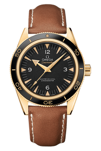 Seamaster 300 Master Co‑Axial Chronometer 41 MM