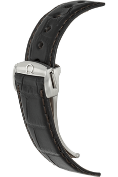 Aqua Terra Co-Axial Annual Calendar Stainless Steel Automatic