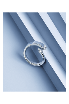 Inner Fire Ring