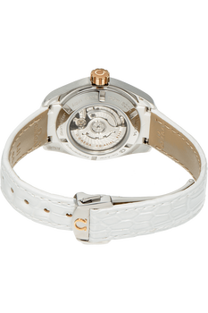 Seamaster Aqua Terra Co-Axial Rose Gold and Stainless Steel Automatic