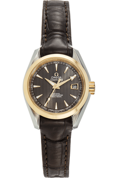 Seamaster Aqua Terra Co-Axial Yellow Gold and Stainless Steel Automatic